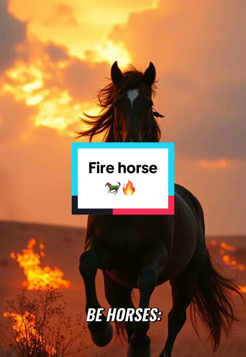 Fire horse are the most stubborn and rebellious of all the animal signs. So rebellious that in history the Japan Government had to kill off all kids born in the fire horse year to keep everything in check.  🐎🔥 #gg33 #astrology #numerology #gg33spirit #33 #horse #fire 