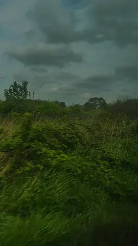 #CapCut#yaallahhealmypain💔🤲🥺 