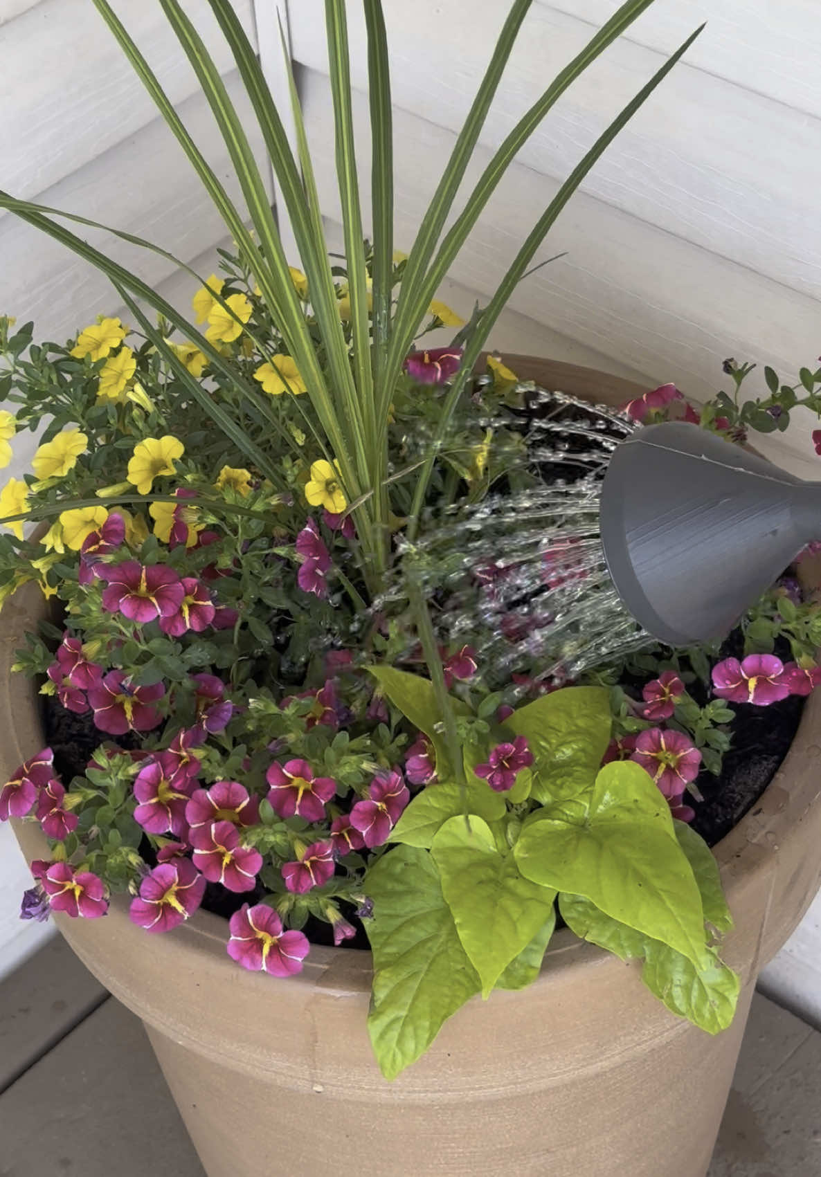 My wife has a flower obsession 🌻🌹🌷🪻🌼 #flowers #plants #planting @Emily Ann Roberts 