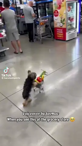 I knew I shoulda went to Aldi’s 👀😂😂 #funny #dog #voiceover #fyp #fy 