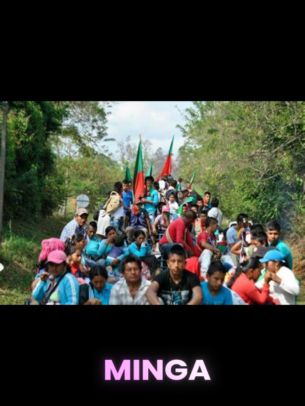 #viral #politica #fyp #noticias  la minga en la universidad nacional unal los utilizan de relleno