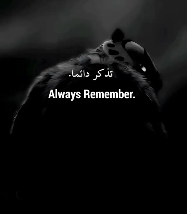 #fyp #foryou #explore #عبارات #نرجسيه🖤🌸 #عبارات_تحفيزية #تحفيز #اقوال #مقولات #حكم #نصائح #هواجيس 