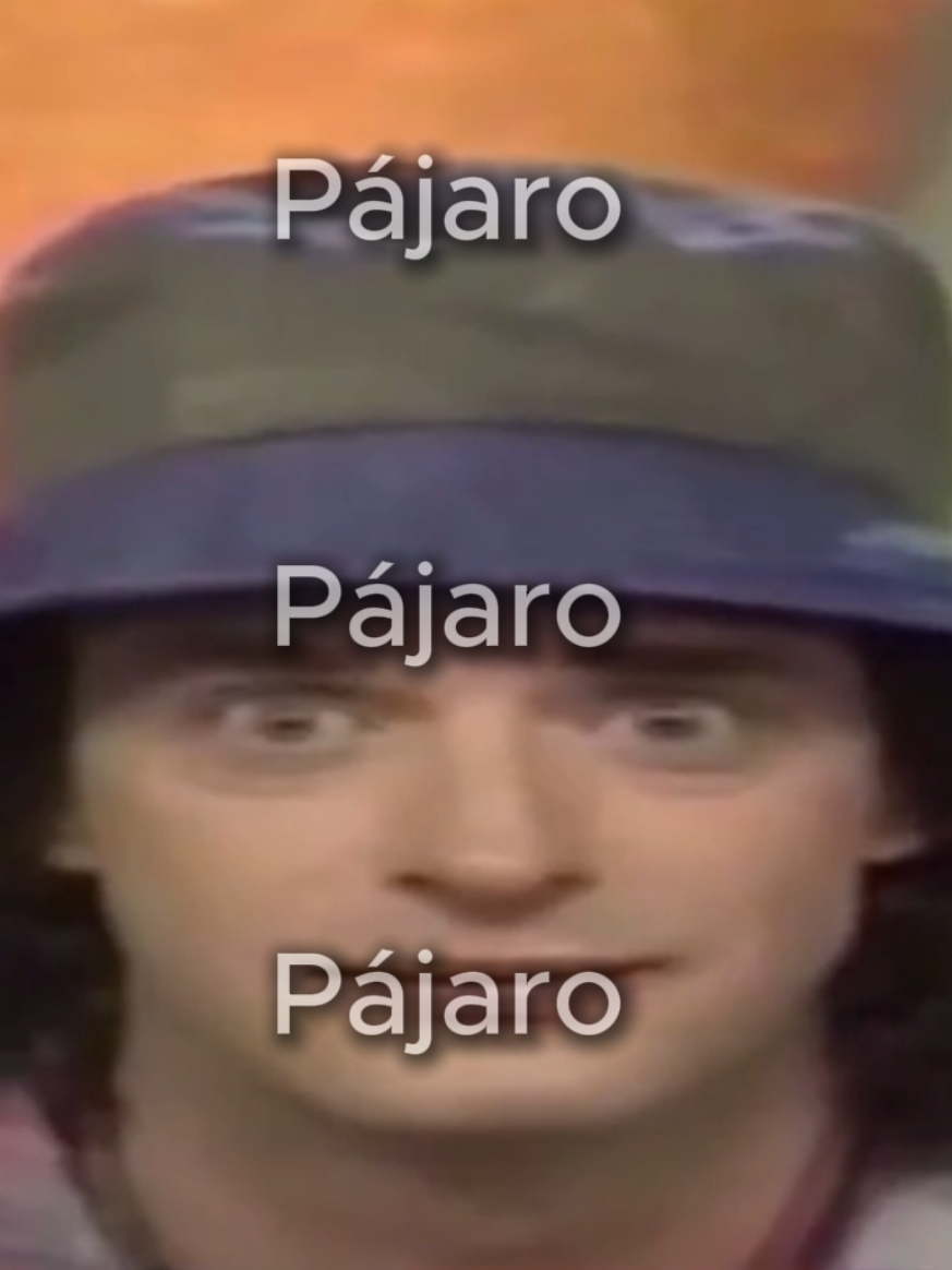 Pájaro pájaro pájaro 🐦 #huayno #cerati #pajaro #rockargentino #sodastereo #gustavocerati  #huayno_peruano @TikTok 