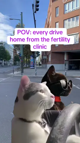 The stress is unmatched 😩 #ivf #fyp #ivfjourney #unexplainedinfertility #fertility #iui #stressful #whitelotus #womenshealth 