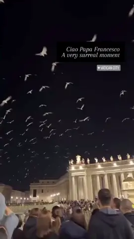🕊️ Minutos antes del funeral del papa Francisco, las redes sociales se inundaron con imágenes que rápidamente dieron la vuelta al mundo: decenas de aves blancas sobrevolando en círculos la Plaza de San Pedro. ➡️ El inusual espectáculo, captado por decenas de asistentes, fue interpretado por muchos fieles como un mensaje espiritual o un homenaje natural al pontífice, generando un profundo impacto entre los presentes. 🔗 Información completa en el link de nuestro perfil. #aves #papafrancisco #funeral #vaticano #viral