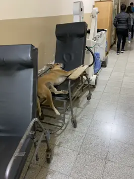 #viralditiktok#umor_video 