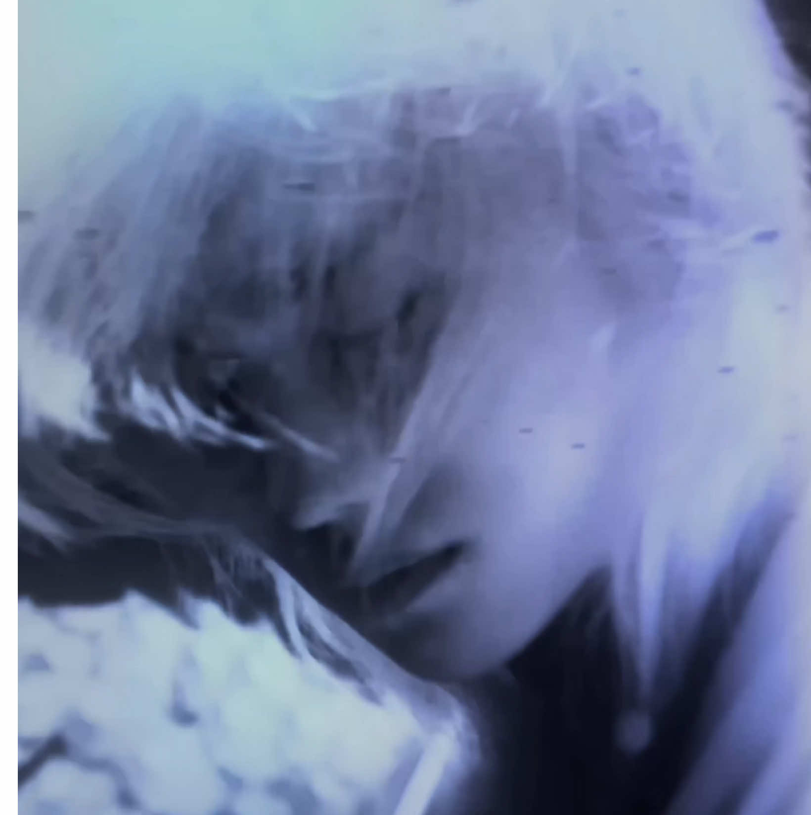 majestic #leefelix #leefelixedit #straykids #straykidsedit #skz #skzedit #edit #vsp #videostar #trend #foryoupage #fyp #viralvideo #1 @nikki ᰔ @꥟ Amy ꥟ @𝒷ℯ𝓁𝓁𝓈 ★ @☆ rei @iwatit2.0 @☆bisha!☆ @b1vdu3 @𝓃𝑒𝓈𝓈 