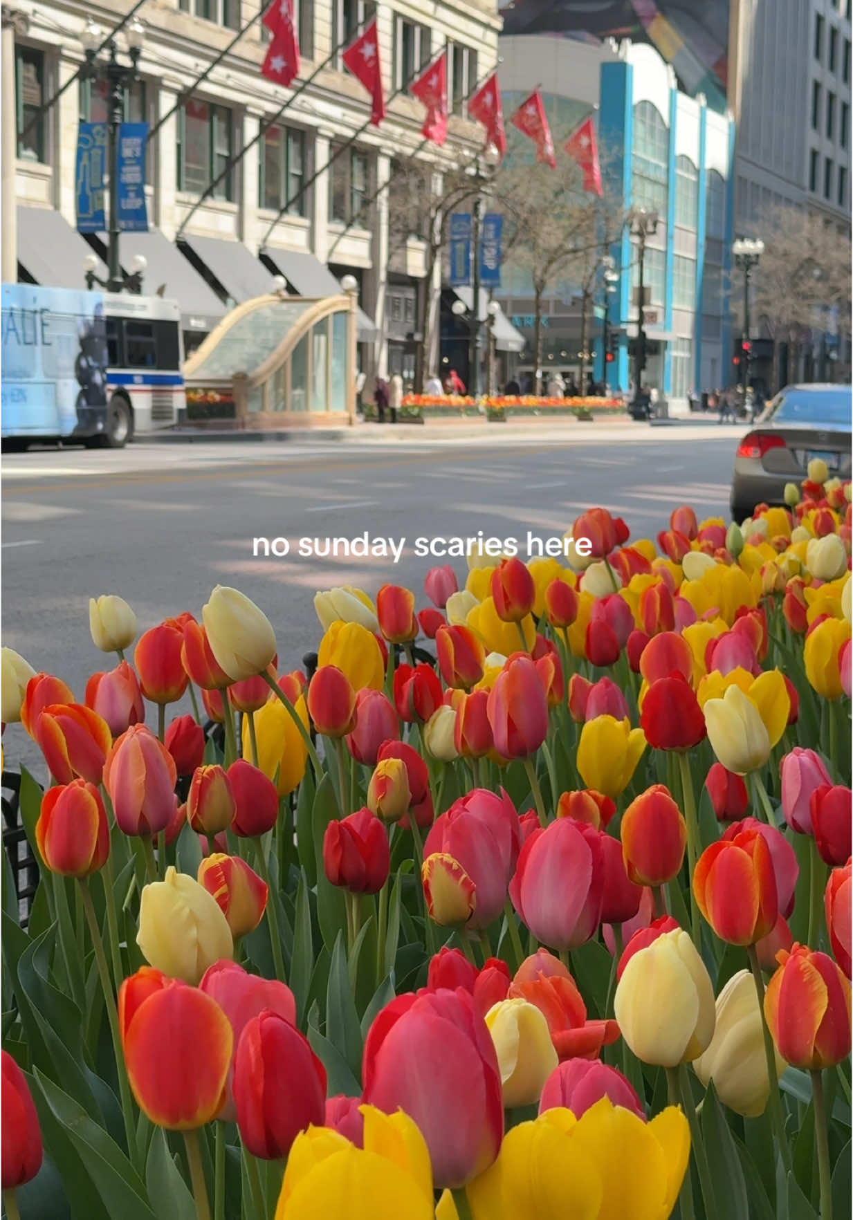 Chicago is back in full bloom and it’s sunny again aka we are alive and well 🍝🥰💛💐 #chicago #inspiration #springtok #springvibes #chicagotiktok #chicagomed #medicine #medschool #medstudent #medschoollife #cityvibes #chicagospring 