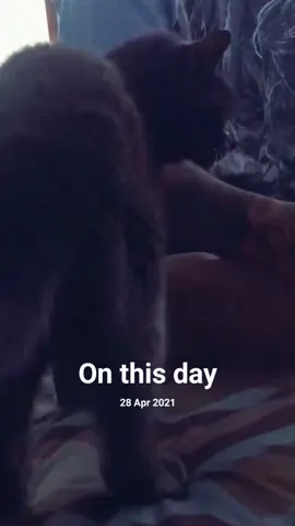 #onthisday