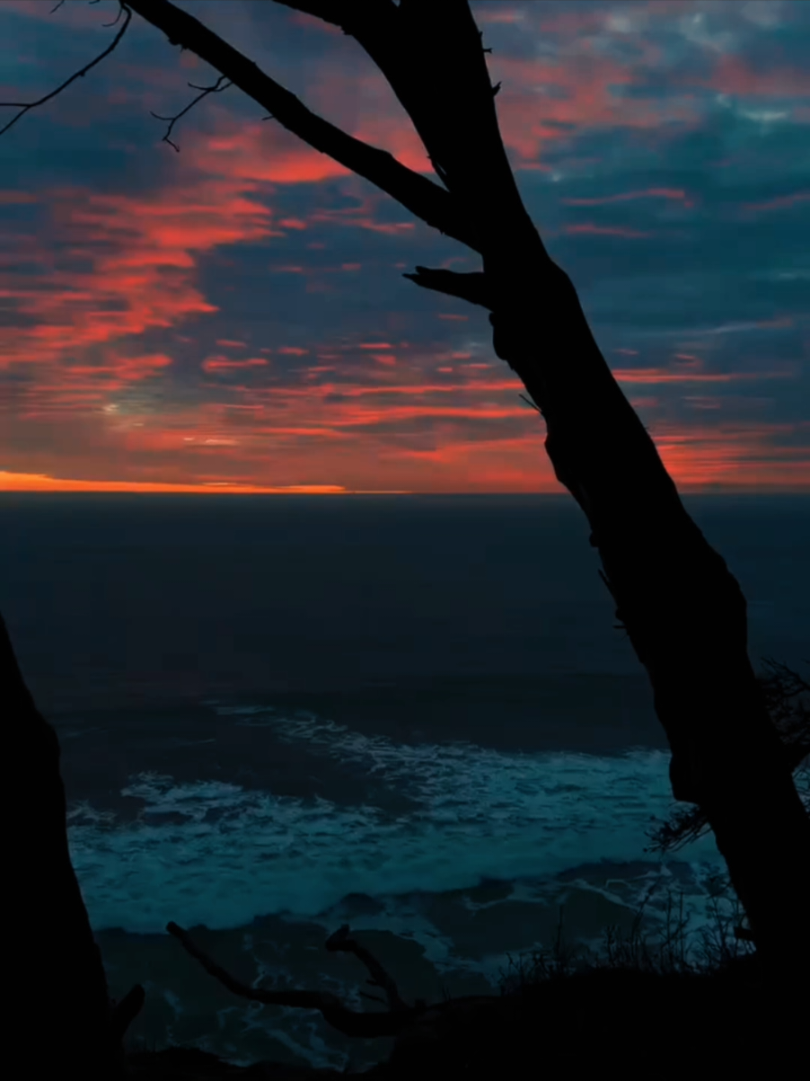 nobody knows... #songs #vibes #lyric #nature #foryoupage #runaway #aurora 