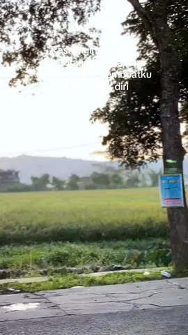 Keinginan dan keadaan selalu bertolak belakang •