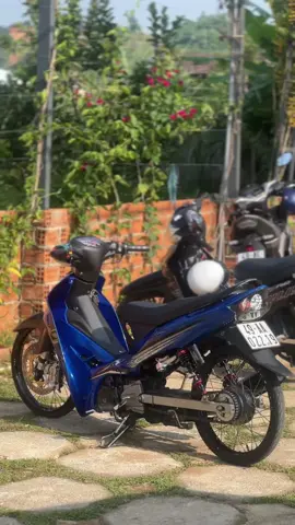 🦈#xedovietnam #baoloccity #siriusđộkiểng #siriusđộkiểng 