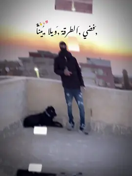 #CapCut #اخصام_سهله #اكسبلور 