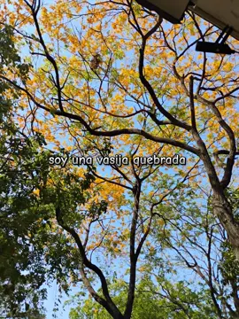 canción: Soy una vasija quebrantada cantante: Félixis Falcón  #videoviral #cristianos #Jesus #Dios #alabanza #naturaleza 