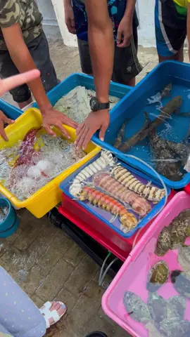 沉浸式买海鲜，今天是海鲜大餐！#仙本那海鲜市场 