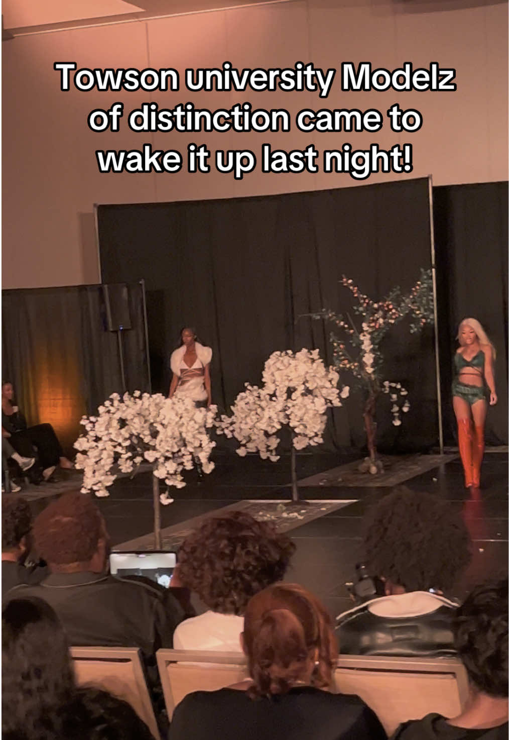 TOWSON U @Modelz of Distinction CAME TO WAKE IT UPPPP #FYP #towsonuniversity #dmvmodel #DMV #choreography #model #beyonce #performance 