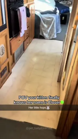 Learning how to read “cat” 😲#cat #funny #catsoftiktok #talkingcat #fyp 