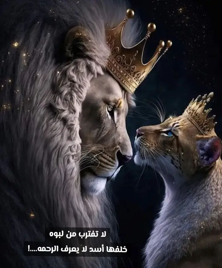 #لبوه #الحبيب #ورد #f #a#capcut_edit 