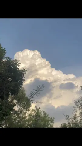 Feel လိုက်ကျ ဥိး😓#fypシ゚viral🖤tiktok #trending #livephoto #livephotoအလွတ် #ဒိတခုတော့viewများချင်တယ် 