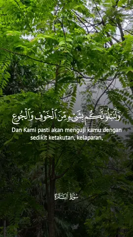 allah bersama orang orang yang sabar #sabar #tawakal 