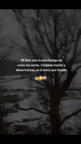 #parati #Viral #diosteama Solo dame fuerzas mi Dios 🙏 😔❤️‍🩹🥹