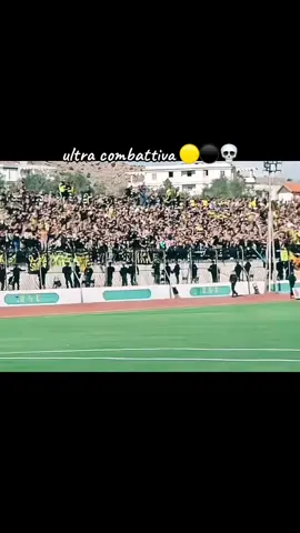 #ultra_combattiva #harrach💛🖤 #usmh 