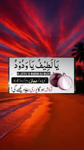 پاور فل وظیفہ عمل 💯 گارنٹی 
