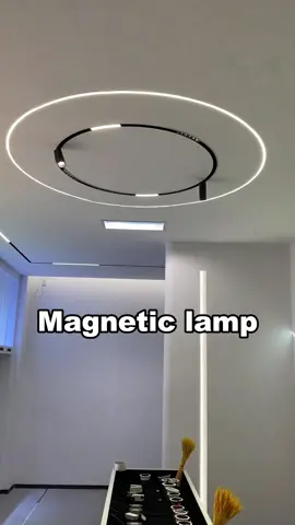 Magnetic track lights illuminate every corner of the space. #lamp #light #led #smarthome #lightingdecor #homedecor #lightingdesign #lampdesign #interiordesign #lampfactory #ledstriplights #ledstrips #DIY #installation #designer #architect #architecture #instagood #Home #atmosphere #aleadhome #aleadlighting #madeinchina #made_in_china 