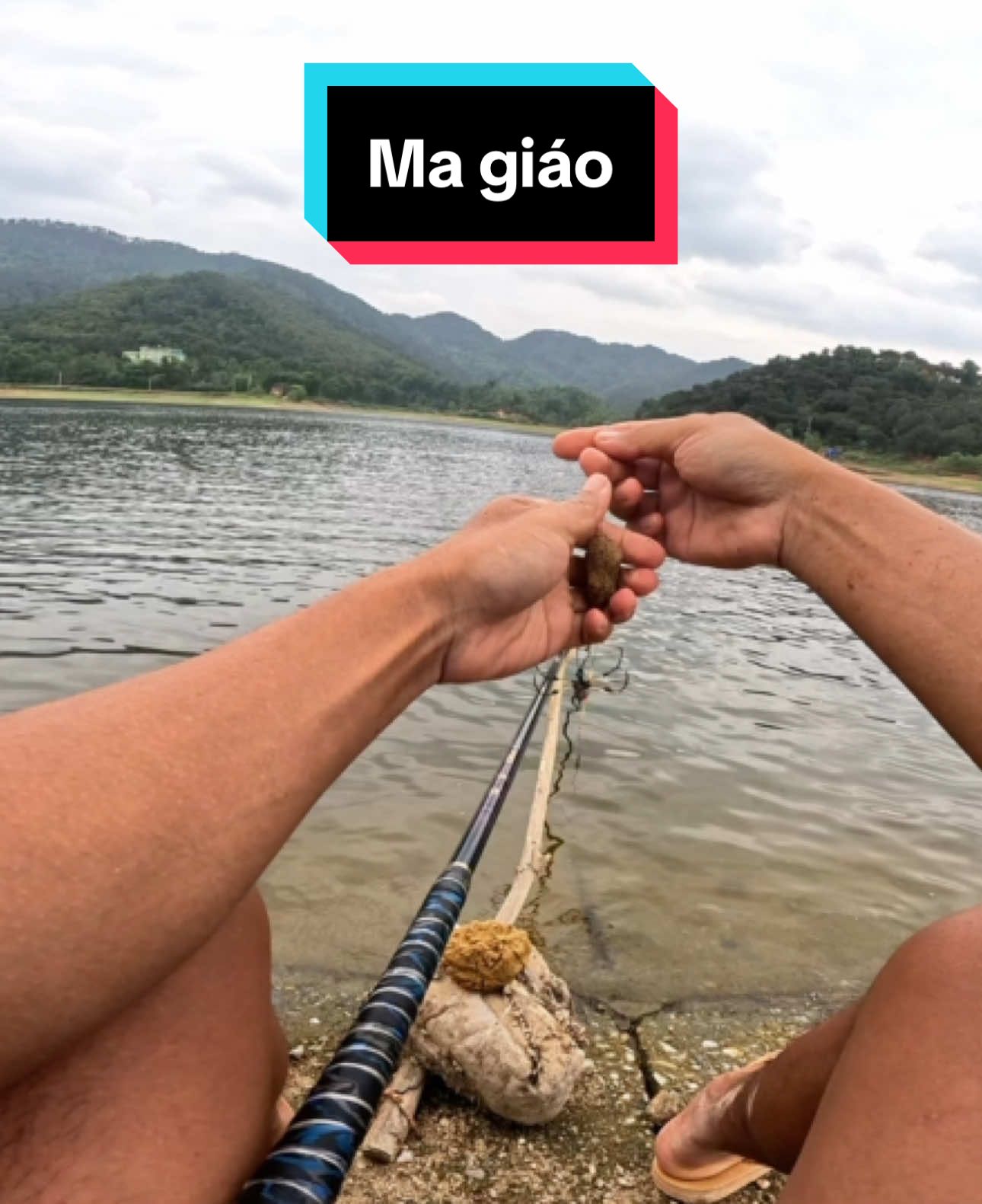 Môn này chống cá con gần như tuyệt đối #lkhoa #dcgr 