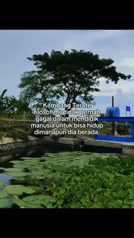 #kembangterate #pshtkeren #pshtviral #pshtsedunia #pshtlamongan #elengkuatslamet 