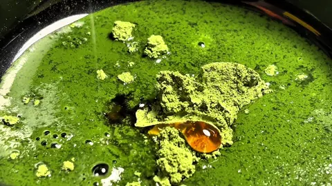 الماتشا اللذيذهه من@Drinks Aroma | نكهة المشروب  