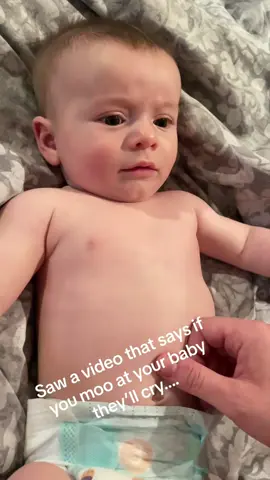 Mooing at baby make them cry  #baby #babiestiktok #babyhumor #babylover #fyp 