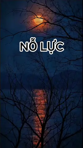 Nỗ lực. #songchamtamtinh #noluc