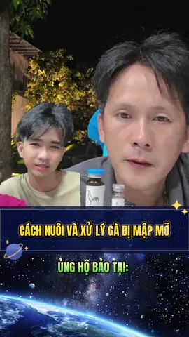 Cách xử lý g/à bị mập #baosting #baostingshop #duyenti #peru #daga #gà #gà_chọi_việt_nam #gàchiến #traiga #xuhuong #viral #idol #c2 #c3 #c1