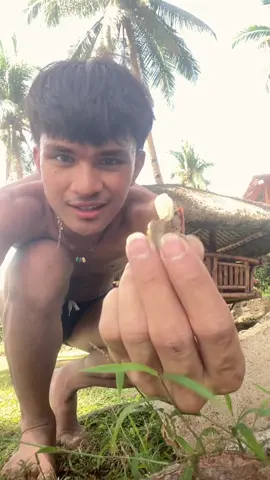 let's bludgeon some pili nuts #fyp #fypシ #sorsogon 