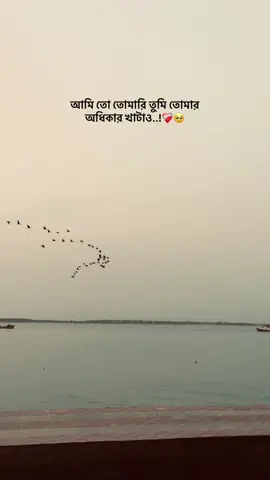❤️‍🩹🥺..!#lovestetus #brokenheart #caption 