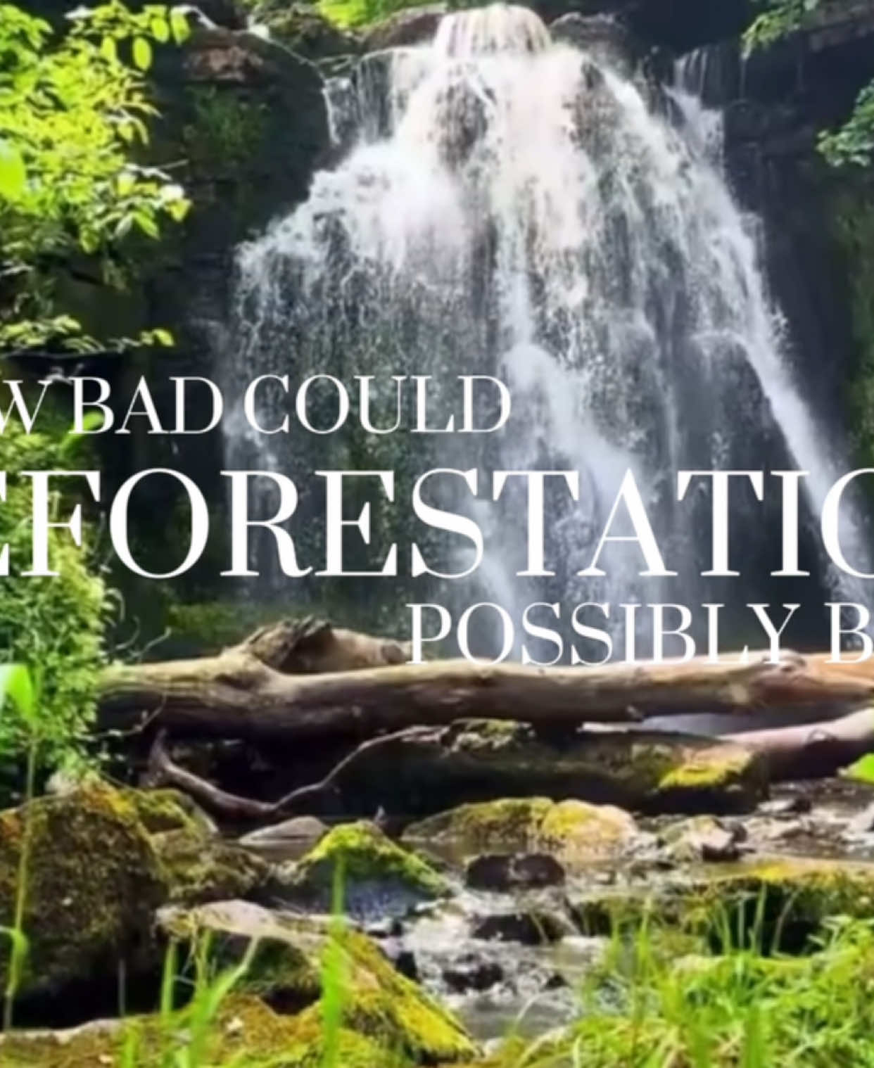 effects of deforestation #fyp #fypp #deforestation #savetheplanet #Sustainability #effects #climateaction #climatechange #biodiversity #edit 