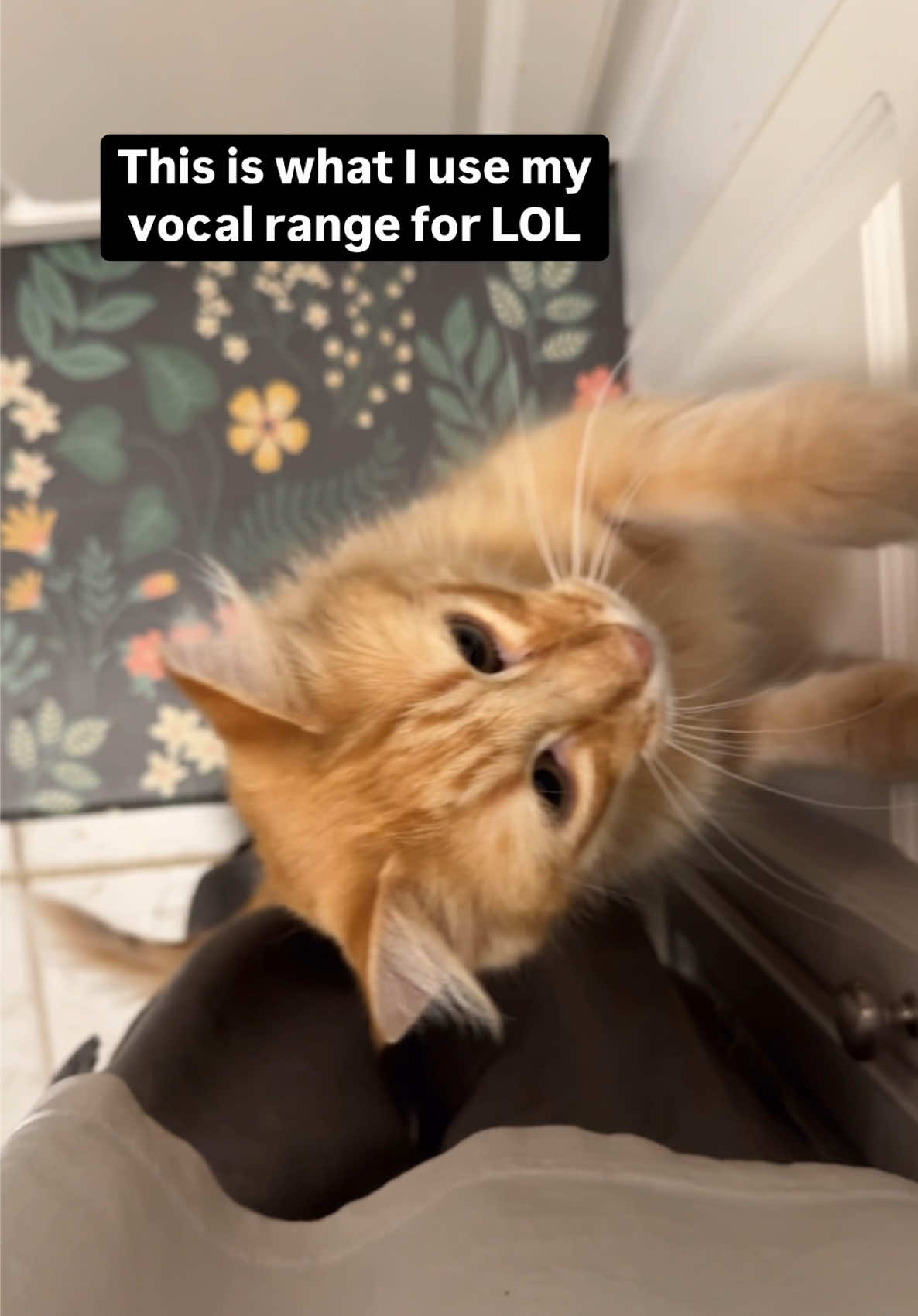 This is what I use my vocal range for lol #singing #vocalist #vocalrange #whistletone #deepvoice 