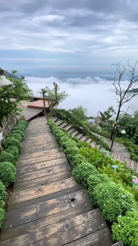 Lại đến mùa săn mây tam đảo rùi #xuhuongtiktok #tamdao#laligachampion 