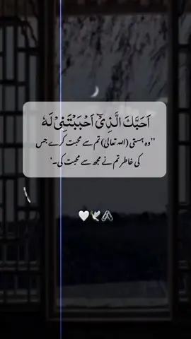 ameen ❤️‍🩹🌼🖇️🫀#foryou #foryoupage #fyppppppppppppppppppppppp #fypage #islamic_video #capcut 