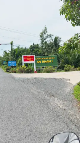 Chiil chill cảnh quê cù lao dung #sóctrăng #chillchill #cùlaodung #anthạnh1 