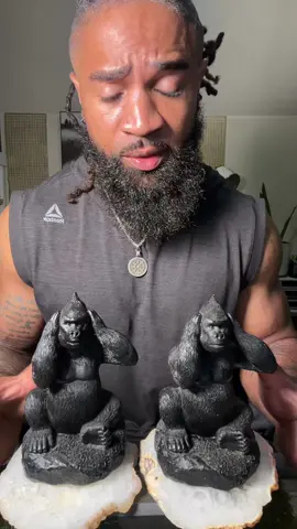 Gave Oreo and Chocolate new necklaces #SilverbackGorilla #100MenVersusGorilla #pet #silverback #gorilla 100 men versus one silverback gorilla game simulation