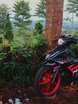 #mxking150 #mxmalaystyle🇲🇾 #y15zr #mx5 #mxking #mxsolostyle #mxroadracestyle #njmx 