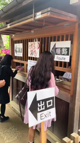 📍Nezu shrine azalea garden 🌺✨