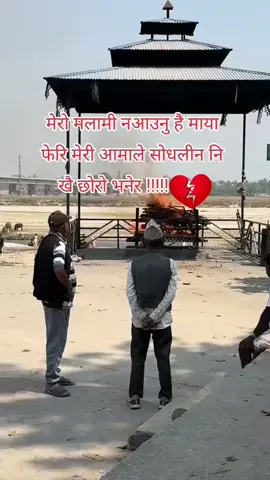 म केही सुझाव दिन्छु कि अब तिमिले केही कुरा परिबर्तन गर्नु। 1. बिहान चाडै उठ्नु। अब उठाउने कोहि नहुन सक्छ। 2. खाना मजाले खानु । कर गर्ने कोहि नहुन सक्छ। 3. आफ्नु धन तिम्रो मुठ्ठी मा राख्नु। फुत्किए पछि आफन्त टाढा भाग्छन। 4. अब तिमिलाई पुग्छ धन, सम्पतिले। फेरि अरुलाई नफसाउनु। 4. यौवन,धन र सुन्दरताको धमण्ड नगर्नु। एक दिन सकिएर जान्छ। 5. आफ्नु जितको लागि कहिले झुटो नबोल्नु। सत्य बुझेपछी अरुले थुक्छ। 6. सधै आफ्नु स्वास्थ्यको खियाल गर्नु। रोगी र गरिबिमा  आफन्त भाग्छन। जसरी श्रीमान लाई जन्डिस हुदा सर्छ रोग भनेर श्रीमती भागिन 😂😂 