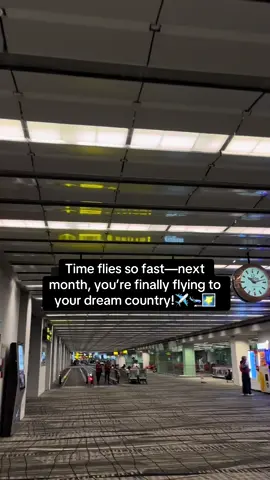Manifest it girl!! #dream #immigration #fyp #abroad #foryou 
