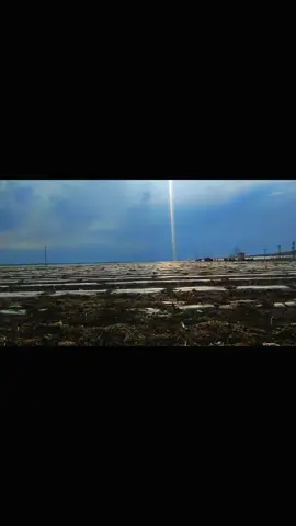 #sehmuskaya #siverek 