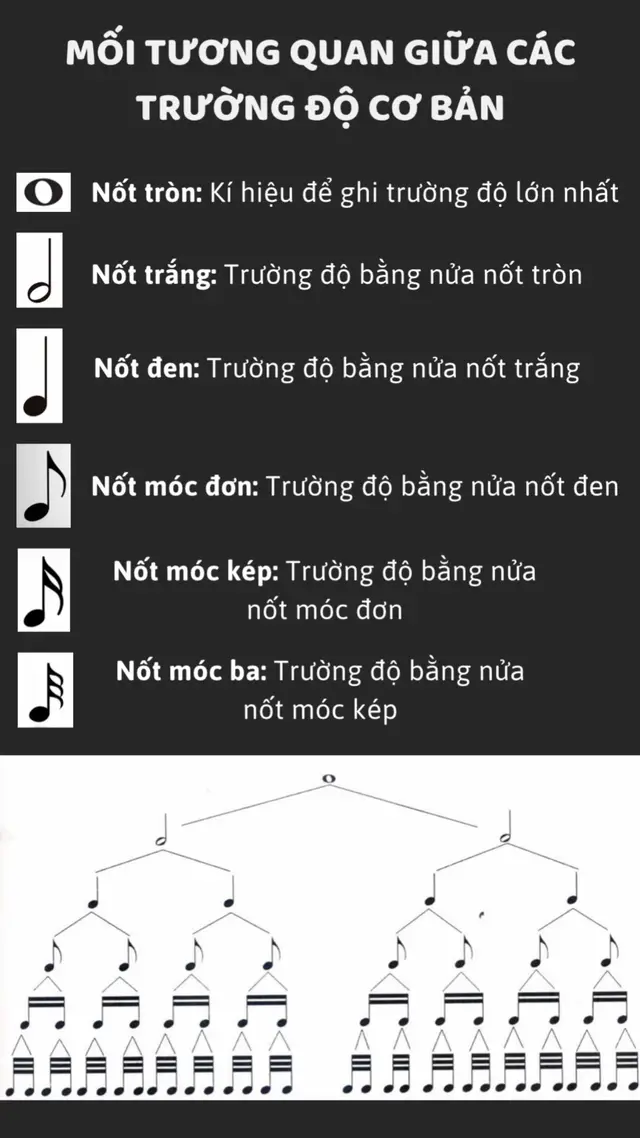 #music #musictheory #pianomusic #daypiano #pianotok #pianotphcm #hocpiano #pianocover #pianothanhca #pianoforbeginners #pianodanhchonguoilon #pianochotreem #pianosinhvien #tuhocpiano #viral #xuhuong 
