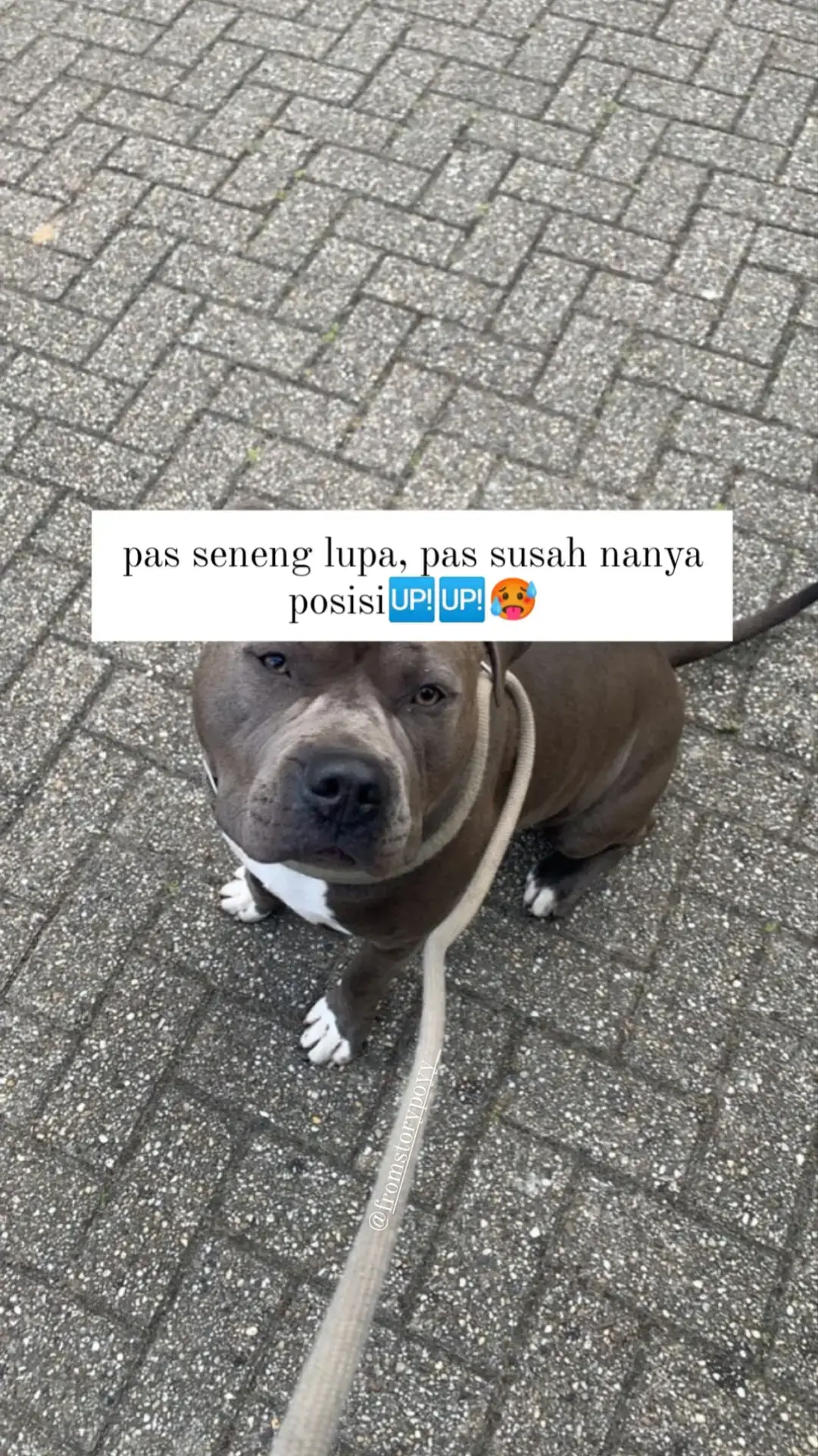 #fromstorypoyy_ #story #katakata #fyp #xyzbca #foryoupage 