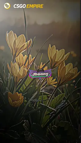 Reply, Sb🫤💐#presetalightmotion #jhonny_edit_preset #fypdongggggggg #presetxml #no5mb #foryourpage 